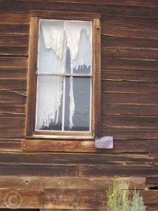 Window