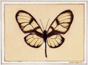 Godyris Dircenna